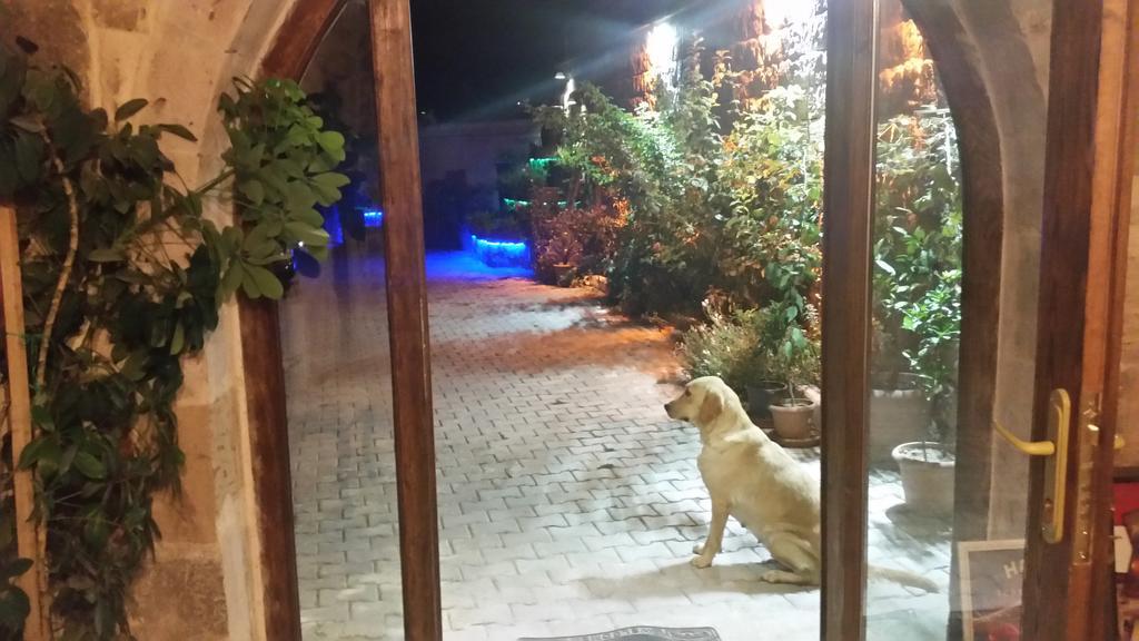 Family Cave Suite Hotel Göreme Zewnętrze zdjęcie